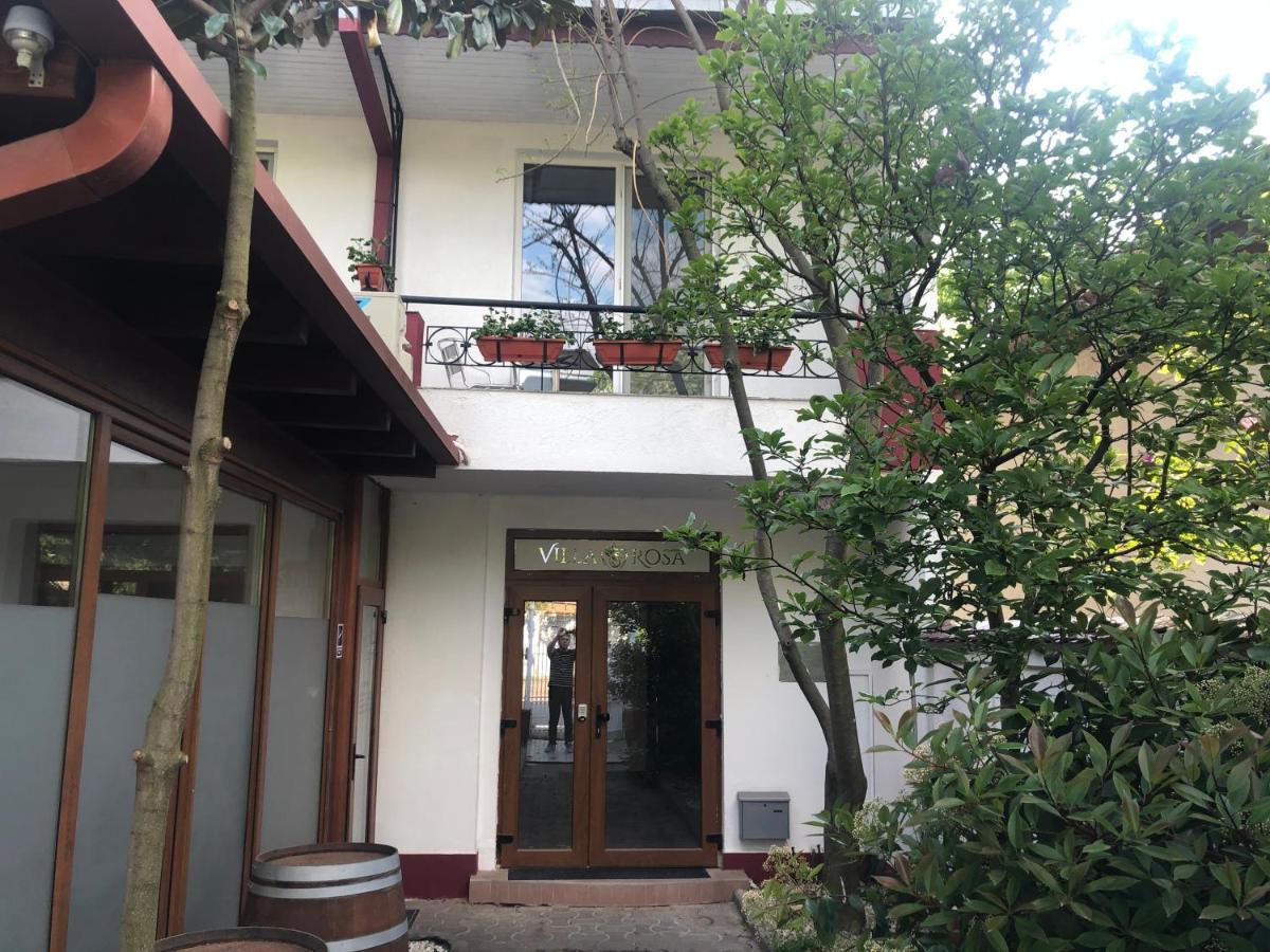 Villa Rosa Timişoara Exterior foto